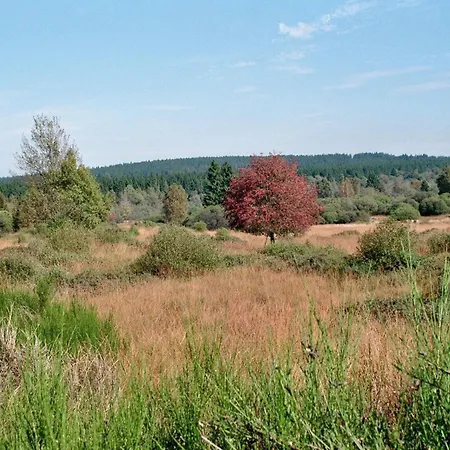 Zur Altstadt 2 Montjoie