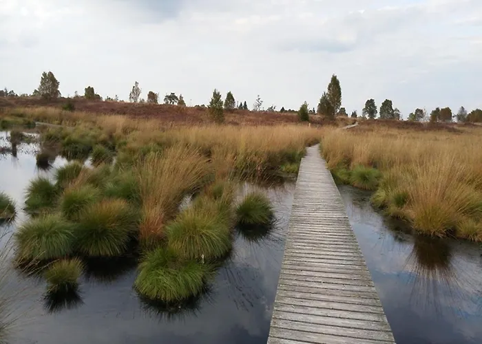 Zur Altstadt 2 Διαμέρισμα *