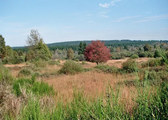 Zur Altstadt 2 Μονσάου